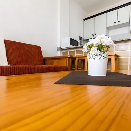 Seaview Friendly 1 *